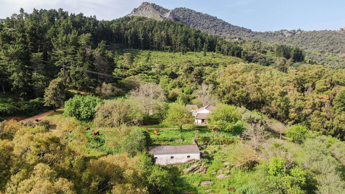 Finca - Cortijo in Gaucín
