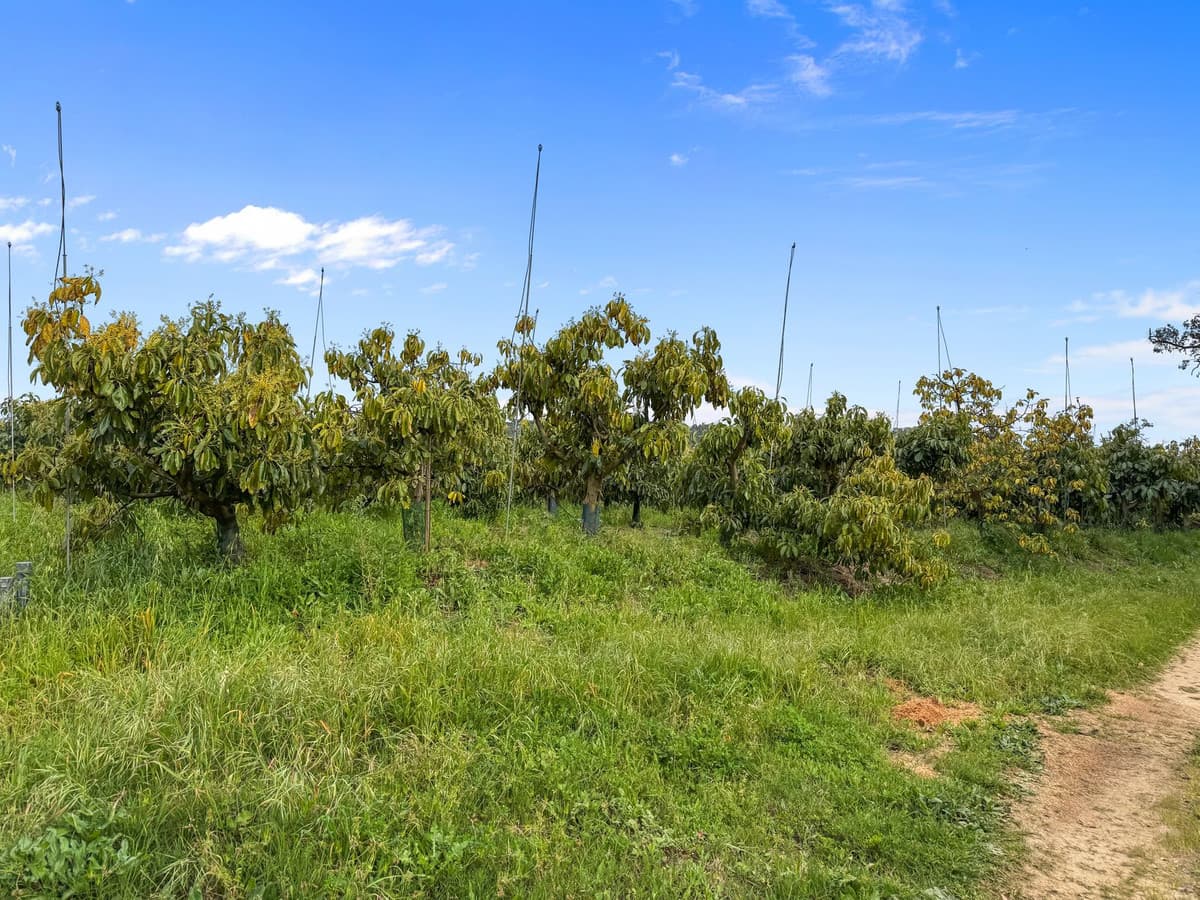 Detached Villa in Sotogrande