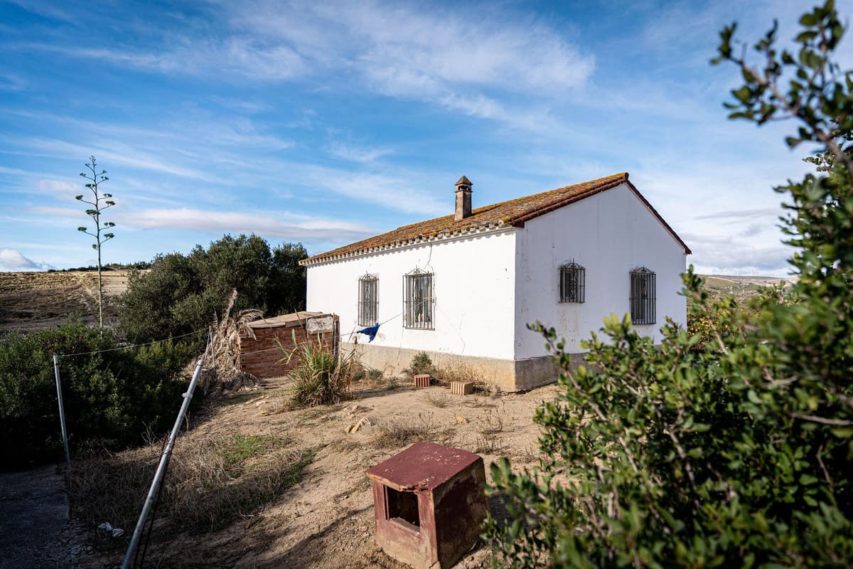 Finca - Cortijo in Manilva